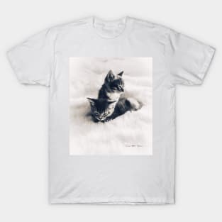 Cat's In The Cradle - Art 1 T-Shirt